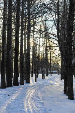 Kış manzara kar expanses kaplı. Kışın bir parkta 