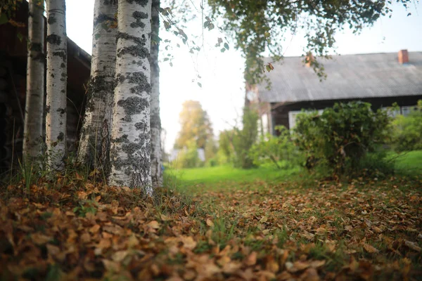 Slutet av sommarsäsongen i parken — Stockfoto