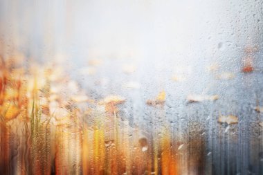 Park arka plan Sonbahar yağmur