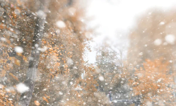 Tło jesienny park w pierwszy śnieg — Zdjęcie stockowe