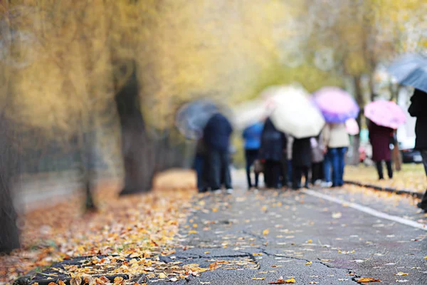 Autumn backgroun rain in the park during the day