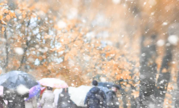 最初の雪の背景秋の公園 — ストック写真