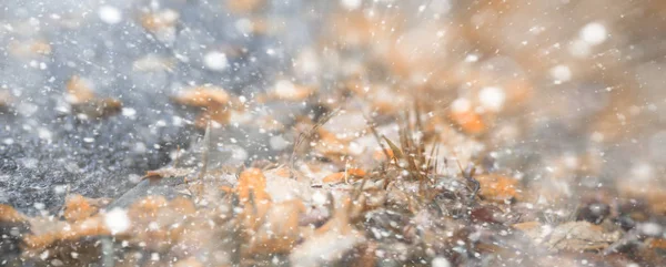 背景秋天公园在第一雪 — 图库照片