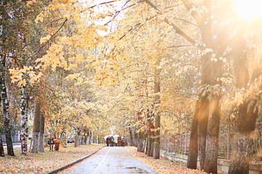 parkta sonbahar yağmur