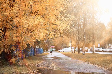 parkta sonbahar yağmur