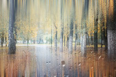 Park arka plan Sonbahar yağmur