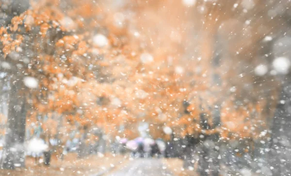 最初の雪の背景秋の公園 — ストック写真