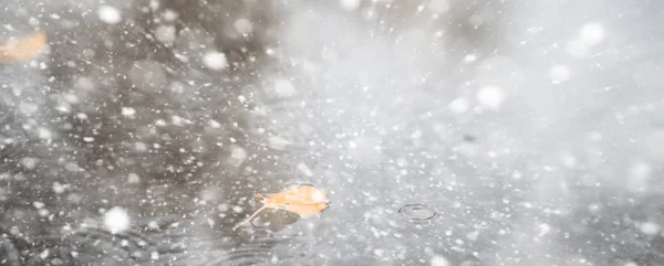 Bakgrunden hösten park i den första snön — Stockfoto