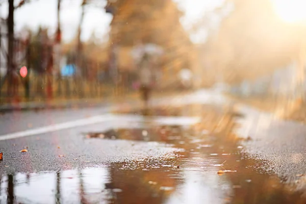 Lluvia de otoño en el parque — Foto de Stock