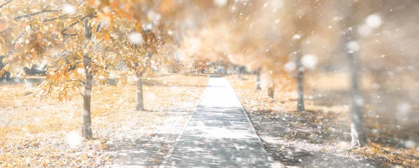 De herfst park achtergrond in de eerste sneeuw — Stockfoto