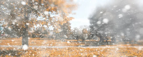 最初の雪の日の背景秋の公園 — ストック写真