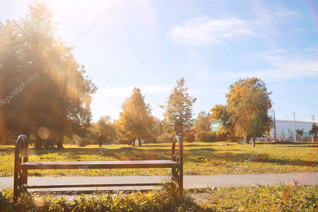 Autumn background in the park