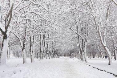 Karla kaplı Kış park ve banklar. Park ve beslenme için pier 