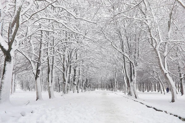 Sneeuw bedekte winter park en bankjes. Park en pier voor het voederen — Stockfoto