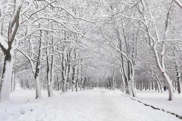 Parque de invierno cubierto de nieve y bancos. Parque y muelle para alimentación — Foto de Stock