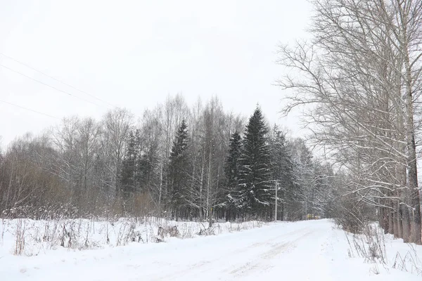 Paisaje invernal cubiertas de nieve. Un parque en el invierno en —  Fotos de Stock