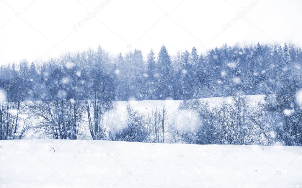 Landscape in the winter day