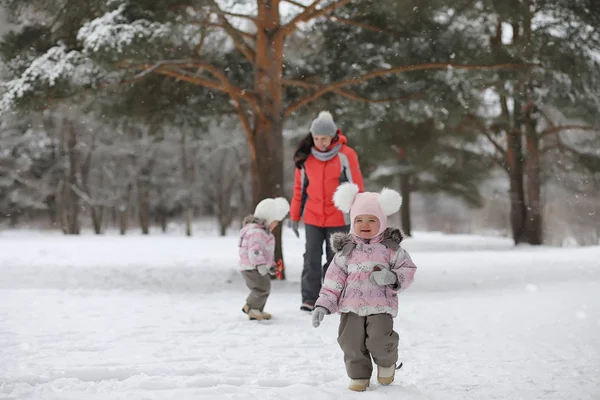 Children walk in the park in winter. Winter forest a family with