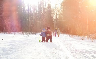 Kar altında kış parkı. Ocak sabahı yürüyüşü