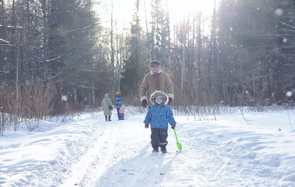 Děti si hrají v zimním parku a baví se s rodinou — Stock fotografie