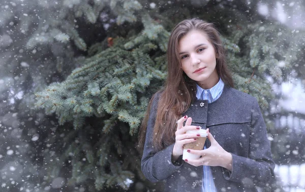 Junges Mädchen im Winter im Freien. Modell Mädchen posiert draußen auf einem w — Stockfoto