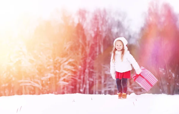 A winter fairy tale, a young mother and her daughter ride a sled — Stock Photo, Image