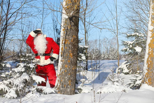 Санта Клаус приходит с подарками извне. Санта в красном — стоковое фото