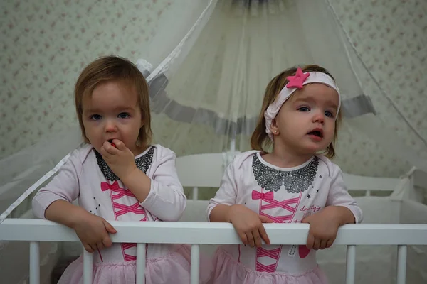 쌍둥이 여 아와 젊은 가족 — 스톡 사진