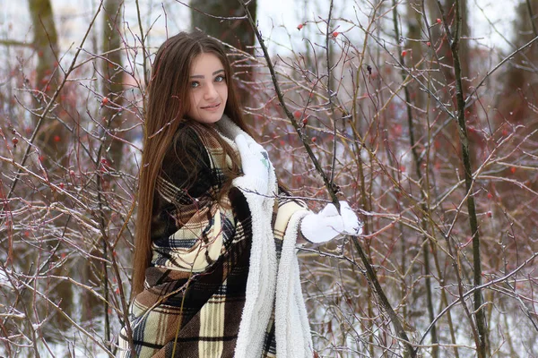 Giovane bella ragazza in inverno giorno nevoso — Foto Stock