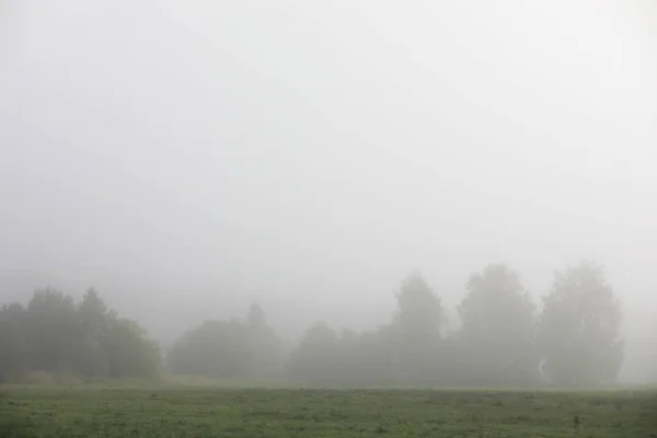 Final da temporada de verão no parque — Fotografia de Stock