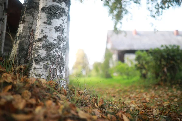 Slutet av sommarsäsongen i parken — Stockfoto