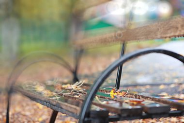 Parkta sonbahar adam yağmur