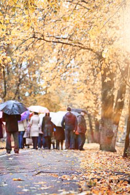 parkta sonbahar yağmur