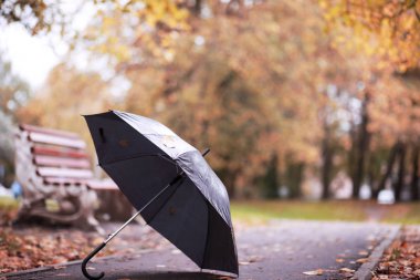 Ekim ayında sonbahar yağmurlu park