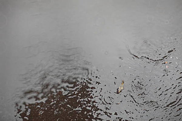 Outono chuva backgroun no parque — Fotografia de Stock