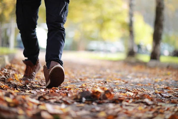Herfst Park man loopt langs een pad gebladerte — Stockfoto