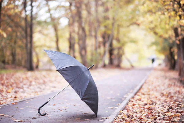 Autunno parco pluviale nel mese di ottobre — Foto Stock