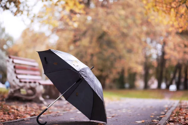 Autunno parco pluviale nel mese di ottobre — Foto Stock