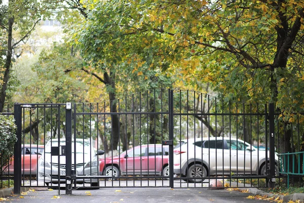 Fondo de otoño en el parque — Foto de Stock