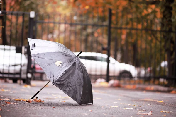 Ekim ayında sonbahar yağmurlu park