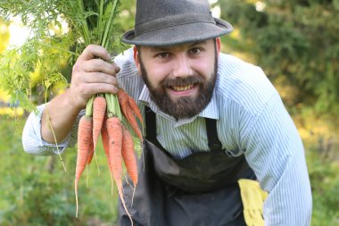 havuç hasat bir elinde tutan bahçıvan adam