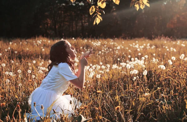 Chica soplando semillas de una flor de diente de león en el otoño — Foto de Stock