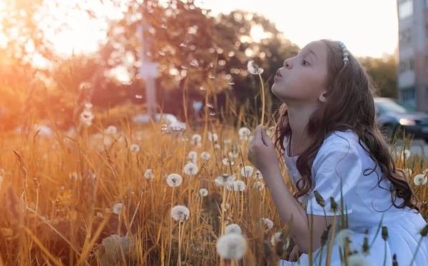 Semi soffianti adolescenti da un fiore di dente di leone in un parco — Foto Stock