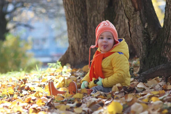 子供の公園散歩 ストックフォト