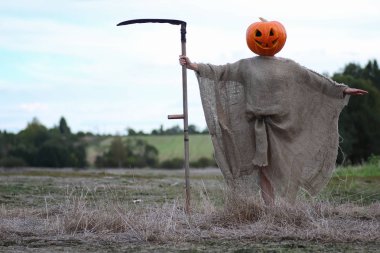 korkuluk Kabak kafa bir alanda