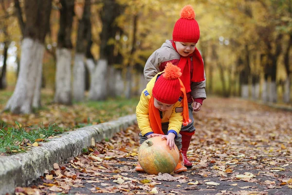 孩子们在大自然中散步 暮色中的孩子们在公园里散步 哥哥和姐姐在秋城公园落叶 — 图库照片