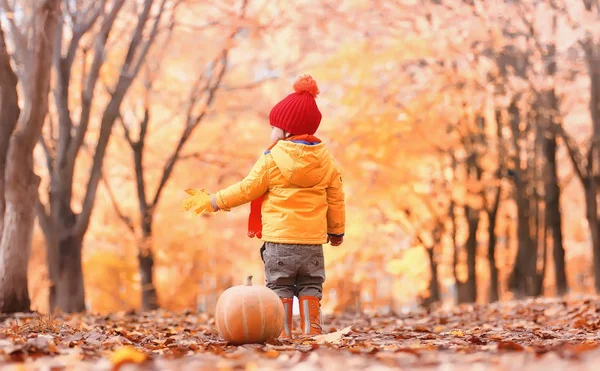 子供たちは、自然に歩いています。夕暮れの子供が歩いています。 — ストック写真