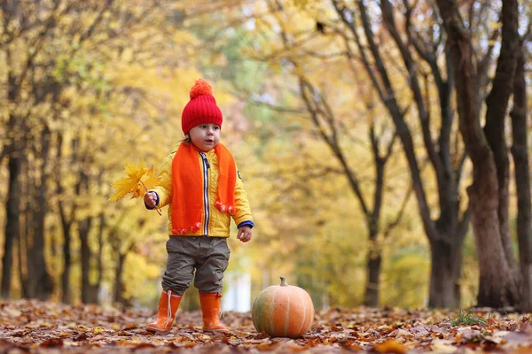 Kinderen lopen in de natuur. Twilight kinderen lopen rond — Stockfoto