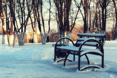 Kış Park bankında sokak