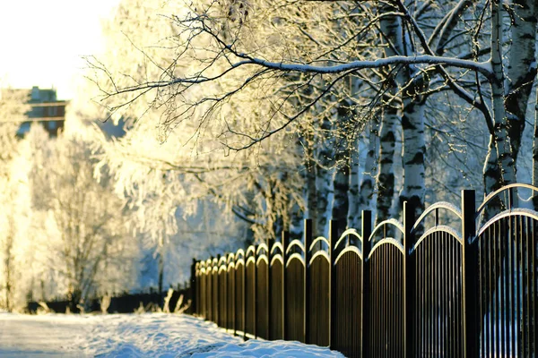 Recinzione coperta neve inverno parco — Foto Stock
